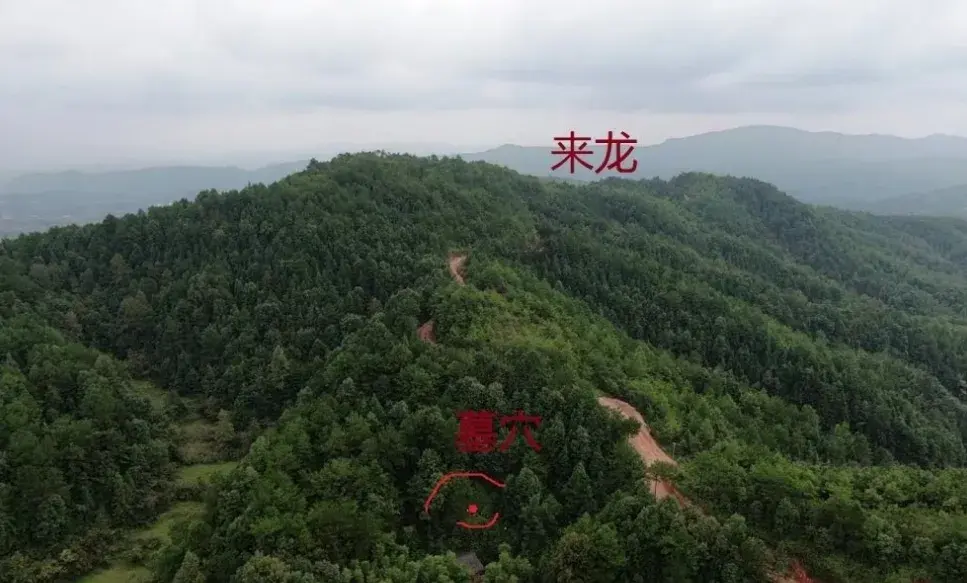 寻龙的步骤，在现实生活当中，我们寻龙应该怎么入手？