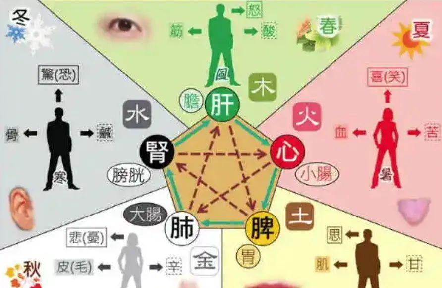 八字五行中金木水火土与疾病的关系-易德轩吉祥网
