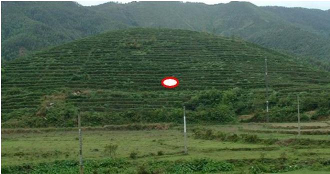 传统风水点穴之“穴星形体”有哪些以及吉凶如何？