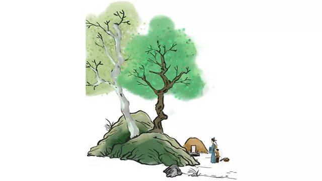 合理看待坟地树木生长：改变墓地风水的新视角
