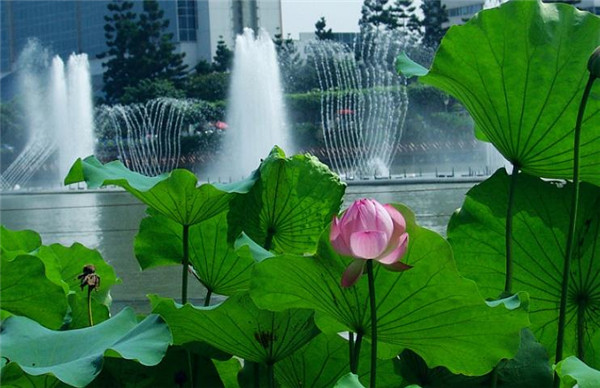 十二生肖火兔人的运势运程预测 几月出生才运势好呢? - 易德轩吉祥物商城 十二生肖火兔人的运势运程预测 几月出生才运势好呢? - 易德轩吉祥物商城