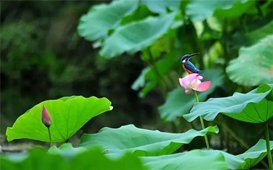 干货！不同行业店铺取名的风水禁忌