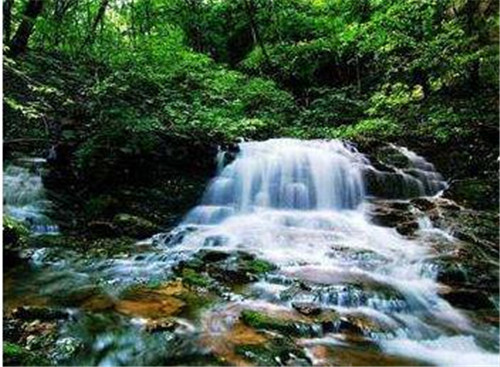 化解牢狱官司秘术