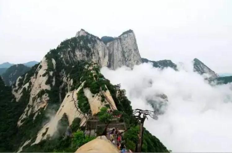 排大运的方式，大运的“顺逆”是这么确定的