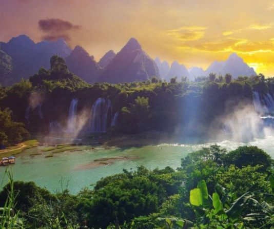 店铺招财 放盆栽植物是一个不错的选择