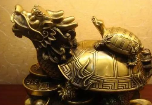 龙龟适合放在家里的财富位置 龙龟适合放在家里的财富位置