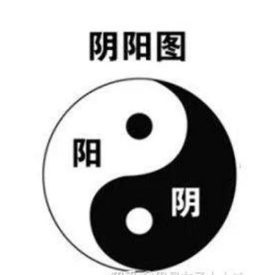 室内风水盆栽解析（仅供参考）