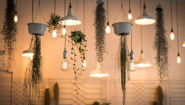 家居灯具选择指南：让家居更聚财旺运！