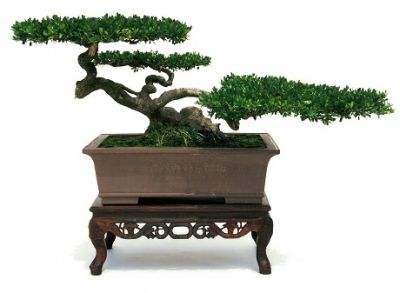 客厅小摆件放什么比较好？