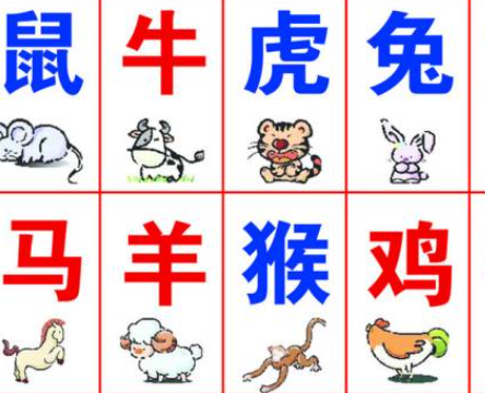 十二生肖的宜忌与开运指南