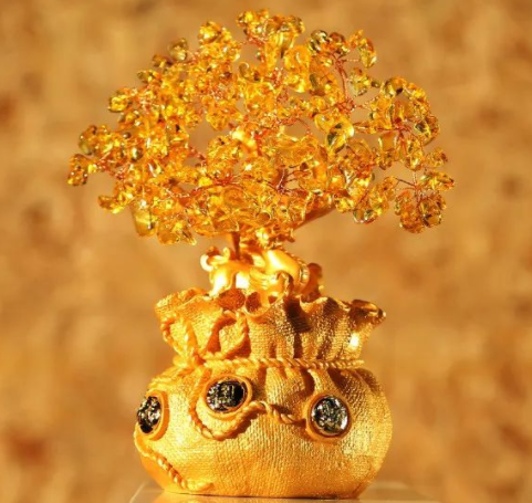 办公室招财的绿植有哪些