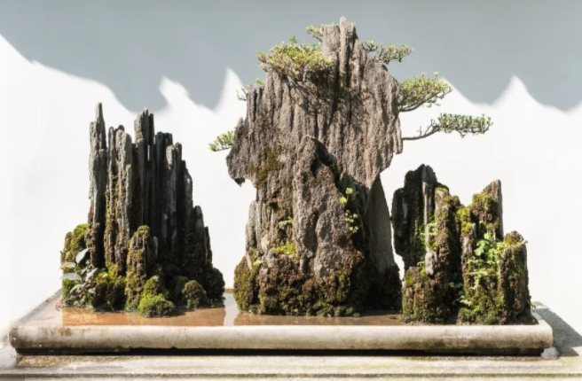 厨房与餐厅放花风水 