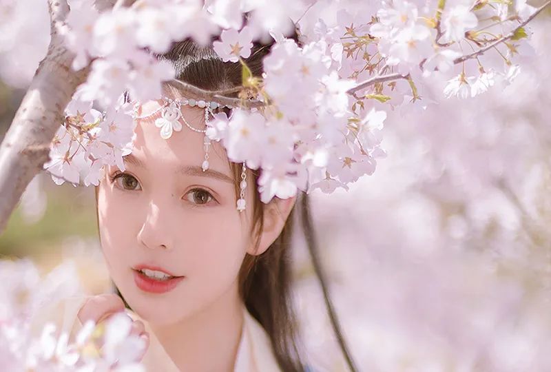 生肖运势:2020年运势攀升吉星高照抓住机会有望收入翻番的5个生肖 生肖运势:2020年运势攀升吉星高照抓住机会有望收入翻番的5个生肖