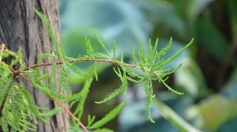 十二生肖中不会被虚情假意蒙骗的生肖 敏锐的心思让鲜少出错 - 易德轩吉祥物商城 十二生肖中不会被虚情假意蒙骗的生肖 敏锐的心思让鲜少出错 - 易德轩吉祥物商城