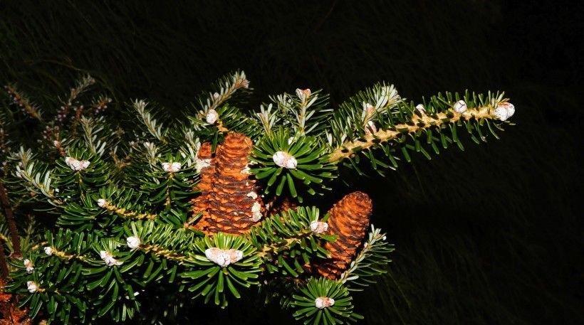 对自己的老公时刻保持着一种距离感,十二生肖中最会管教老公的生肖女 - 易德轩吉祥物商城 对自己的老公时刻保持着一种距离感,十二生肖中最会管教老公的生肖女 - 易德轩吉祥物商城