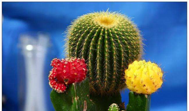 浴室摆设的风水禁忌有哪些