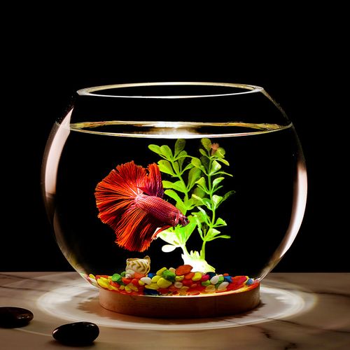 鱼缸放在什么方位最旺财