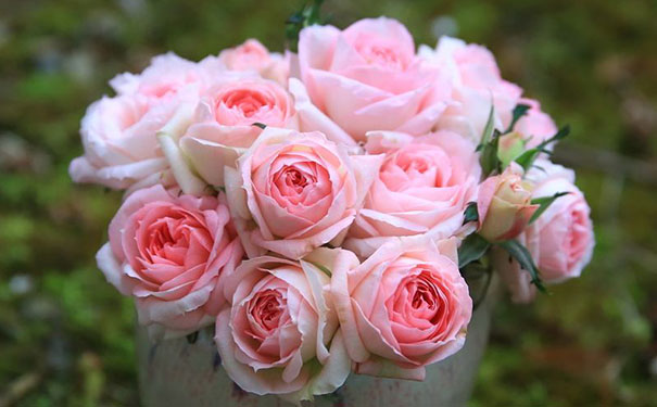 利用开运风水化解三角恋-易德轩吉祥商城