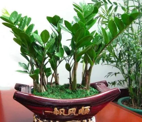 办公室十大风摆件 驱邪利己