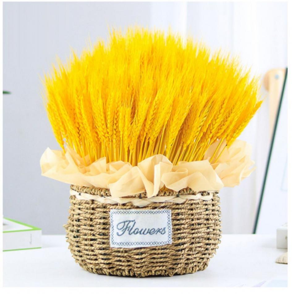 道男性什么颜色最旺财