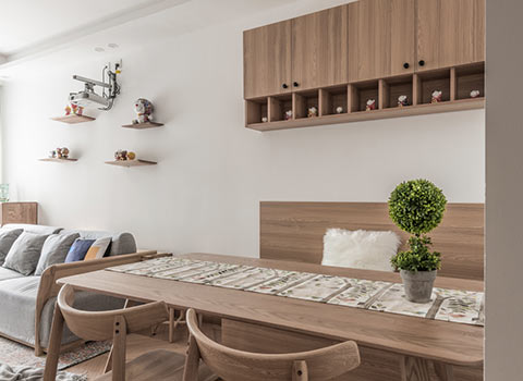 风水家里摆什么植物会比较好