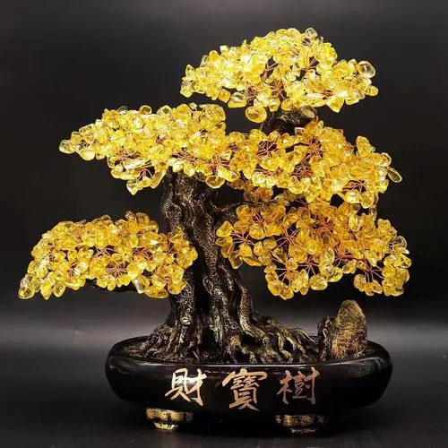 房屋财位放什么好聚财