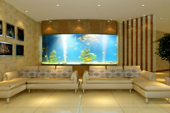 鱼缸摆放风水有什么讲究(鱼缸这样摆放最旺财)-易德轩吉祥商城