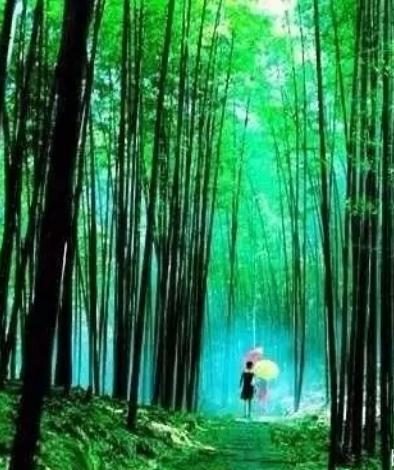 那些招财旺运的公司名，都遵循了这些风水法则