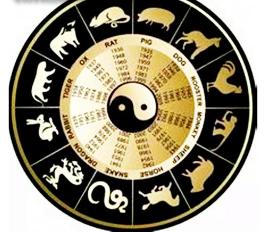 :十二生肖智商高低排行榜 蛇属蛇的人最大的特点是什么？- 易德轩吉祥物商城