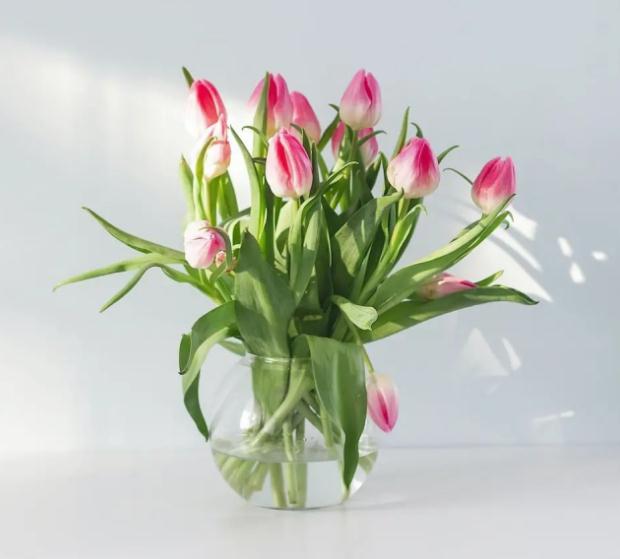 催桃花、布桃花局-易德轩吉祥网 催桃花、布桃花局-易德轩吉祥网