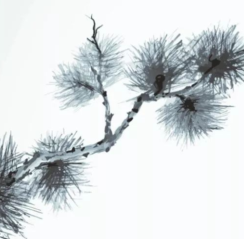 家里不宜多放的摆件 容易破坏风水