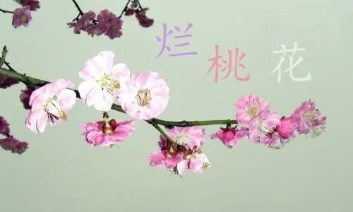 非常灵验的斩烂桃花的方法-易德轩吉祥商城 非常灵验的斩烂桃花的方法-易德轩吉祥商城