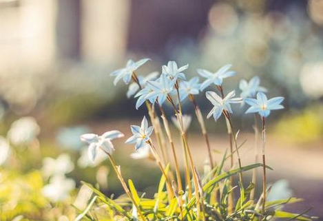 这四大生肖的女性最旺夫 你家有没有