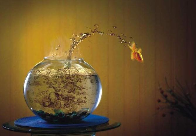 家居被貔貅对着 怎么化解?-易德轩吉祥商城 家居被貔貅对着 怎么化解?-易德轩吉祥商城