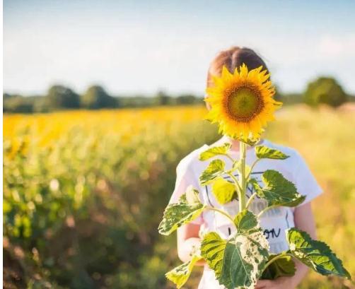 八字流年十二神煞凶星入命自查法！-易德轩吉祥网