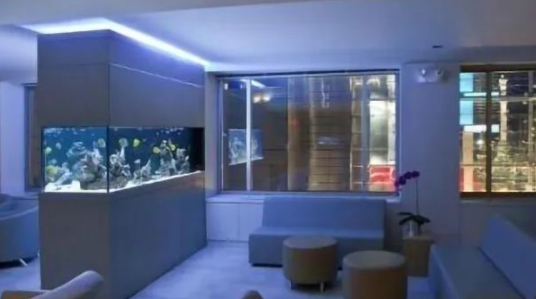 养鱼竟然还有这些风水技巧 养鱼竟然还有这些风水技巧