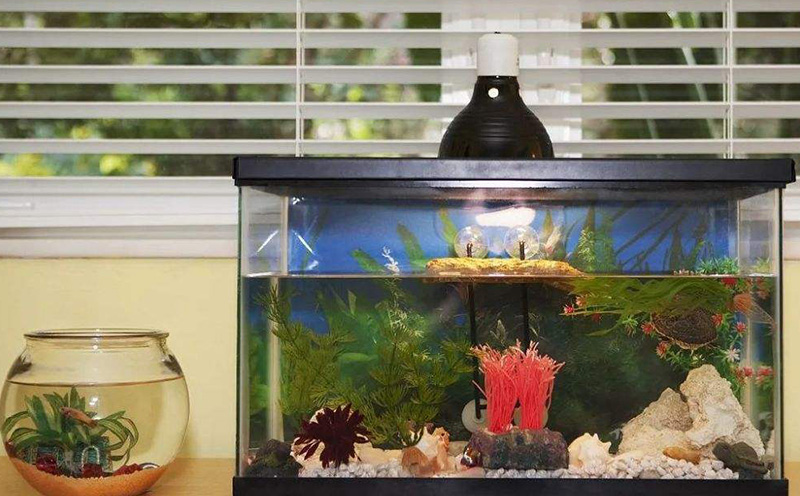 家中镇宅辟邪的东西有哪些(十大镇宅辟邪之物)-易德轩吉祥商城