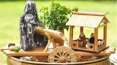 放置盆栽植物的风水禁忌