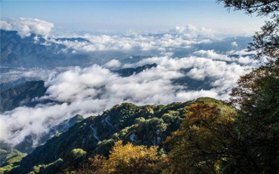 阴宅风水 之 后天感应