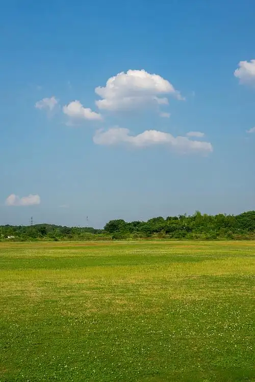 坐西向东墓地风水佳，最佳布局图解析！