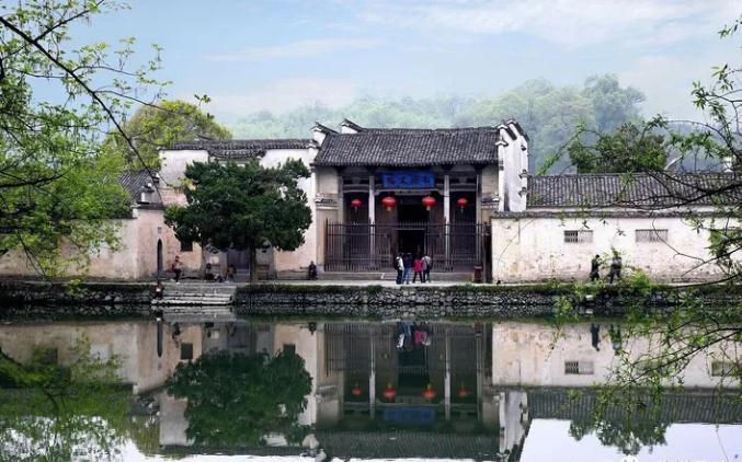 风水龟养一只还是一对-易德轩吉祥商城