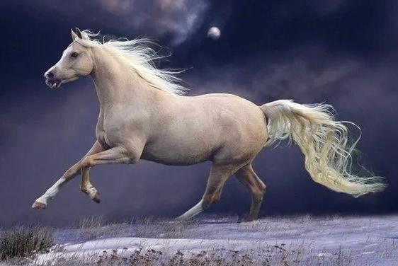 车上挂什么挂件辟邪最好-易德轩吉祥商城