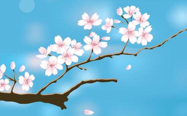 “十年一大运，一年一流年”生辰八字运势吉凶自断秘法！