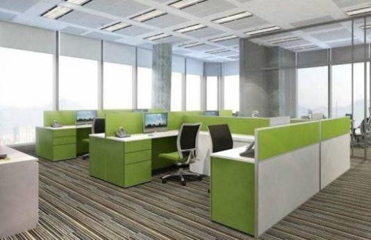 办公室养鱼指南：这些鱼种才是招财之王