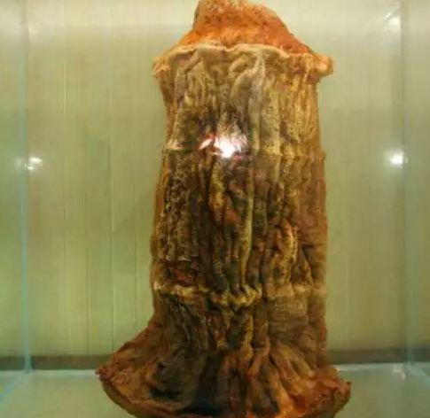 为什么有人犯太岁还升官发财 为什么有人犯太岁还升官发财