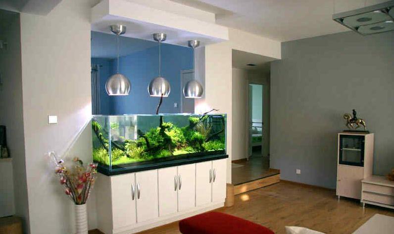 锦鲤养几条(锦鲤养几条风水好)-易德轩吉祥商城