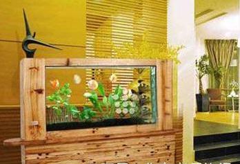 家里鱼缸摆放位置风水吉位(不同房屋朝向鱼缸摆放方位)-易德轩吉祥商城