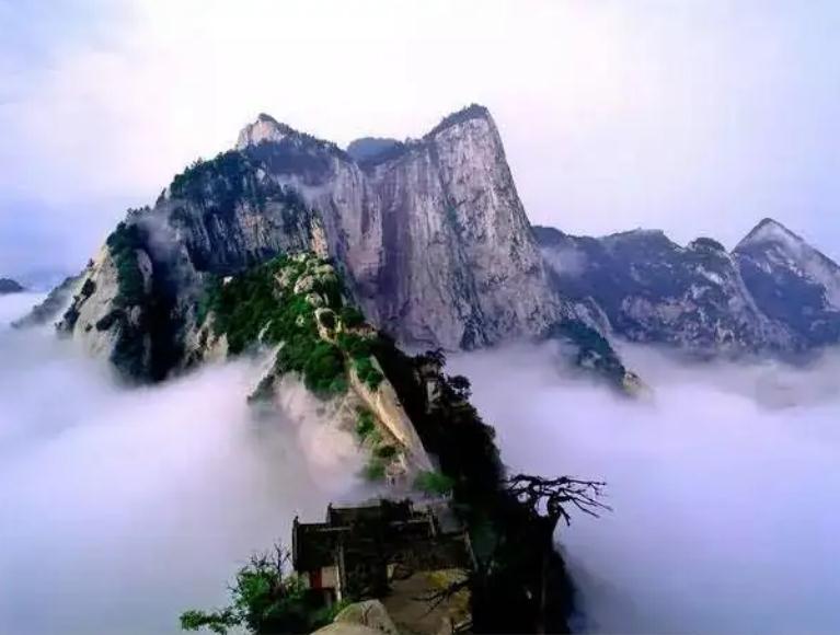 办公室最吉利的绿植-易德轩吉祥商城 办公室最吉利的绿植-易德轩吉祥商城