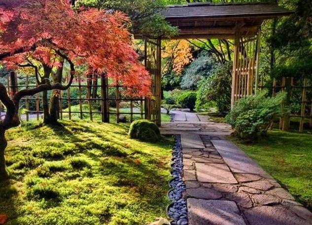 十二生肖属虎人2021年的流年运势预测- 易德轩吉祥物商城 十二生肖属虎人2021年的流年运势预测- 易德轩吉祥物商城