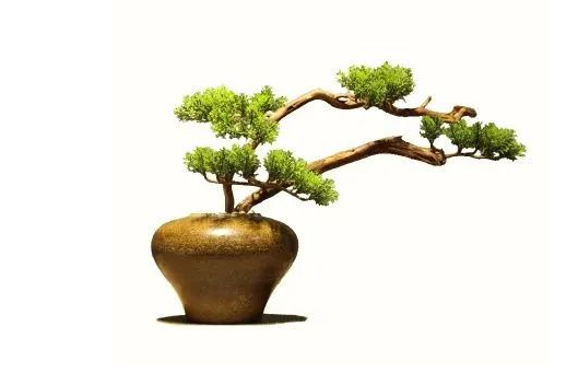 新店开业时准备什么吉祥物最招财 新店开业时准备什么吉祥物最招财